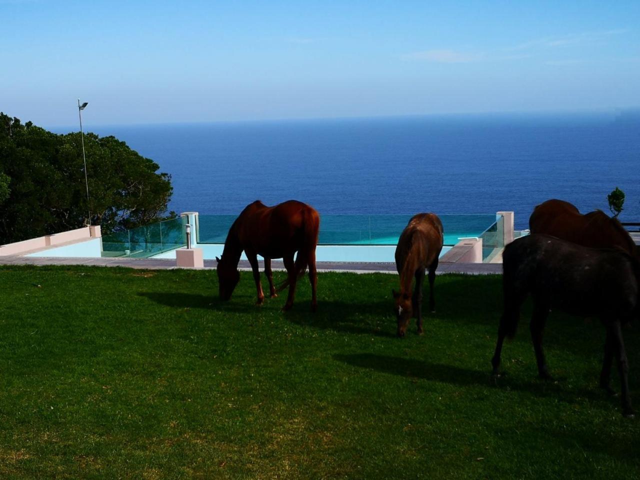 Tsitsikamma On Sea Resort Witelsbos Εξωτερικό φωτογραφία